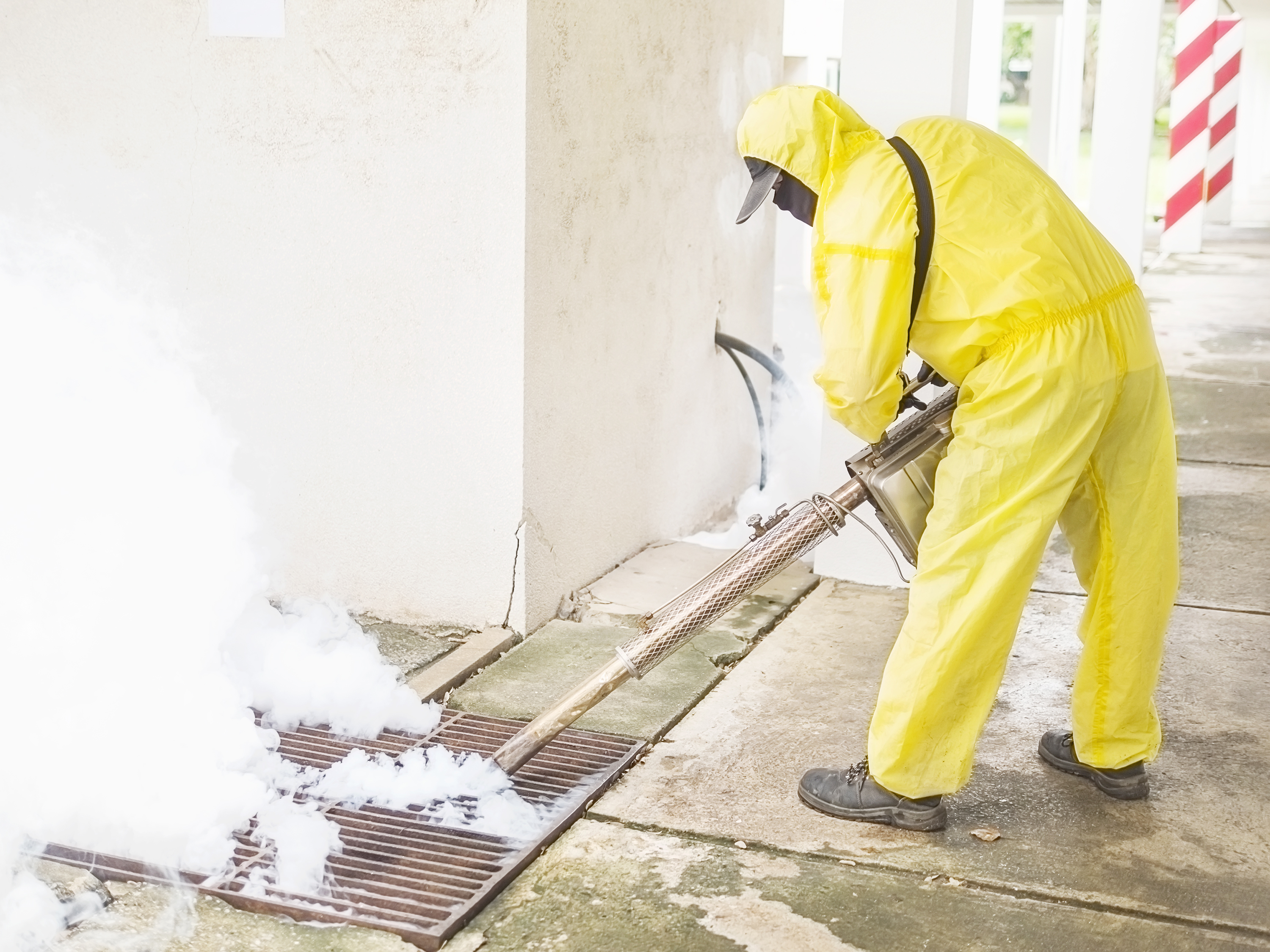 Sparkle Shield – Fumigation & Pest Control